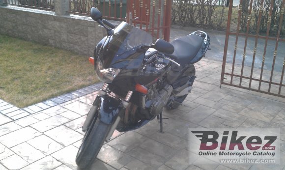 2001 Honda CB 600 S Hornet photo